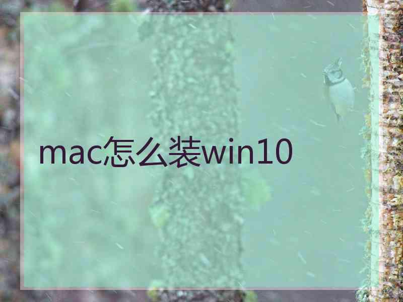 mac怎么装win10