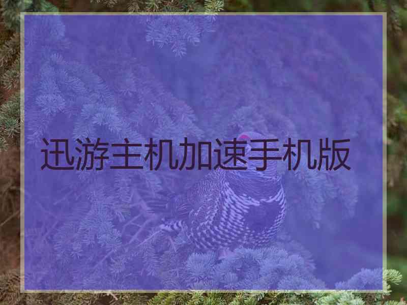 迅游主机加速手机版