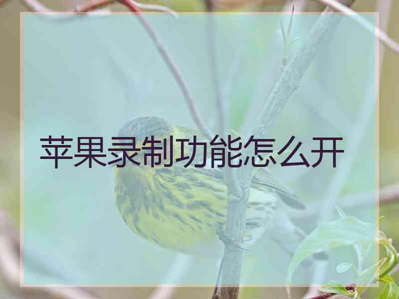 苹果录制功能怎么开