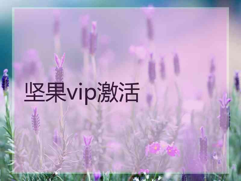 坚果vip激活