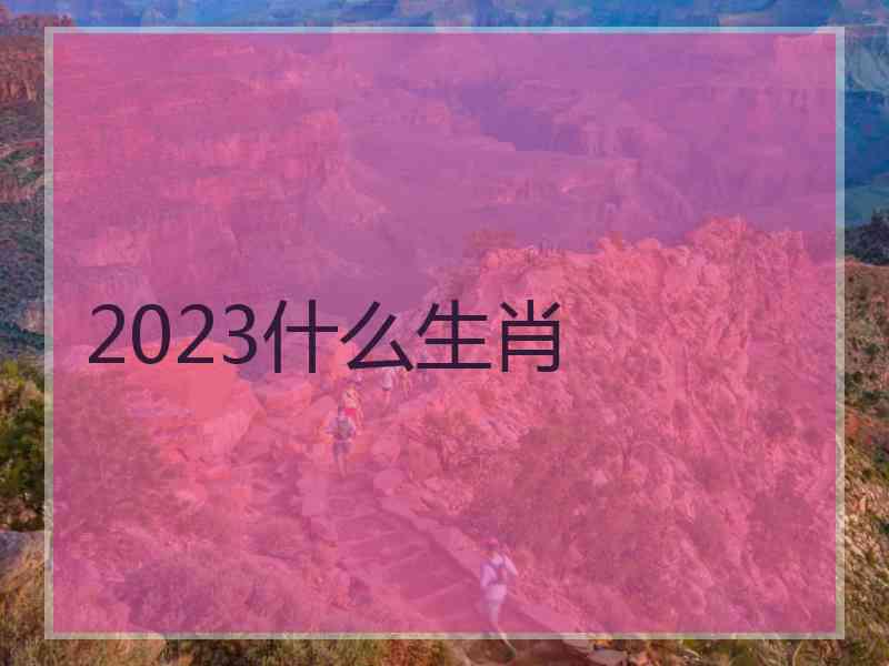 2023什么生肖