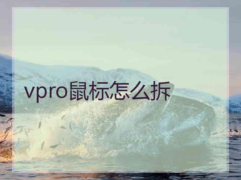 vpro鼠标怎么拆