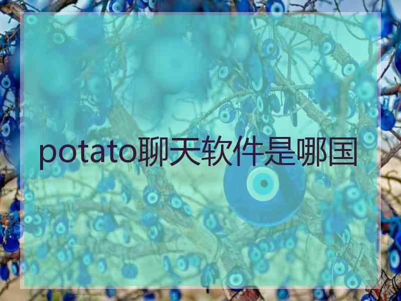 potato聊天软件是哪国