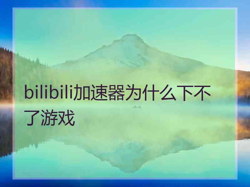 bilibili加速器为什么下不了游戏