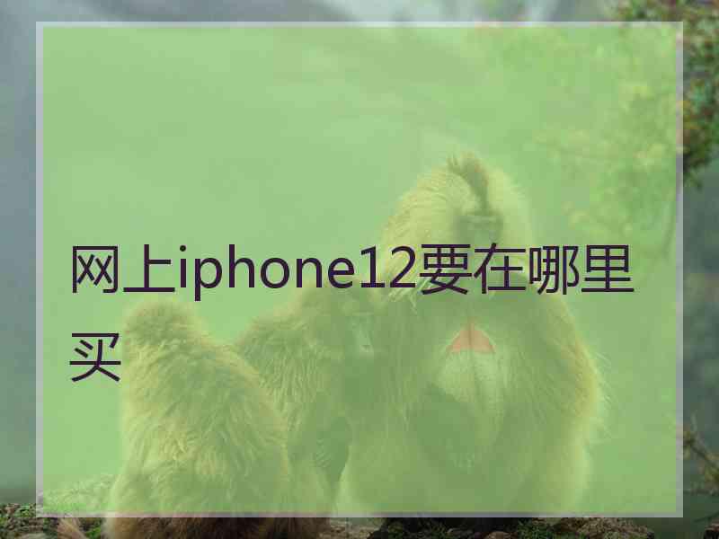 网上iphone12要在哪里买