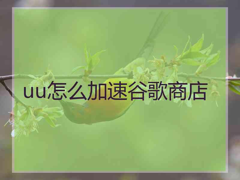 uu怎么加速谷歌商店