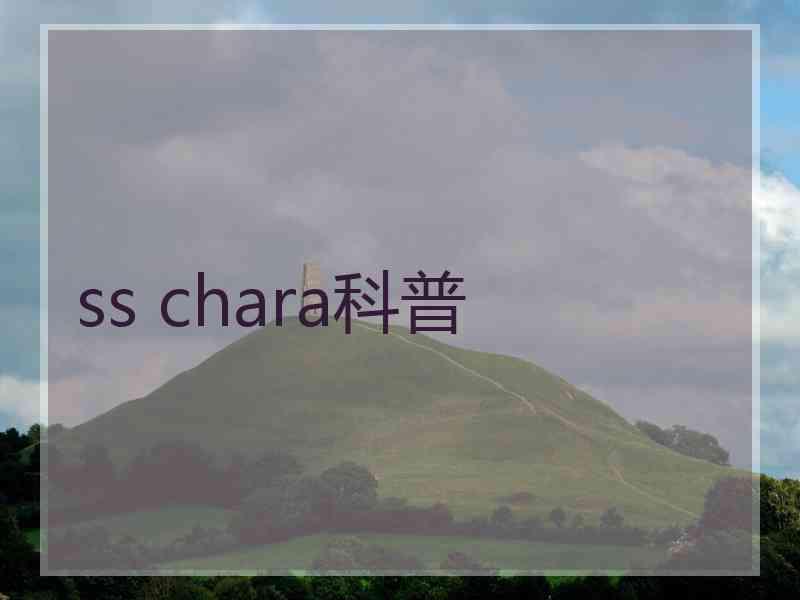 ss chara科普