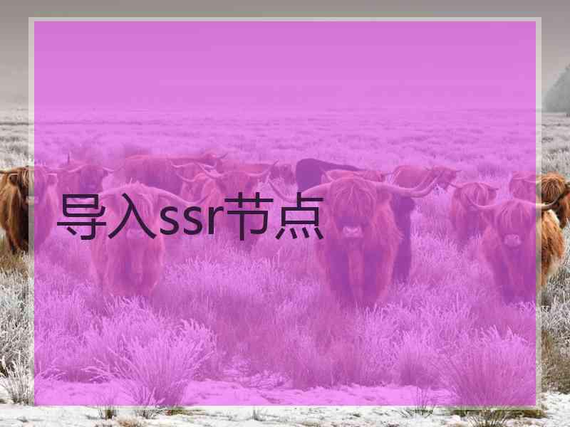 导入ssr节点