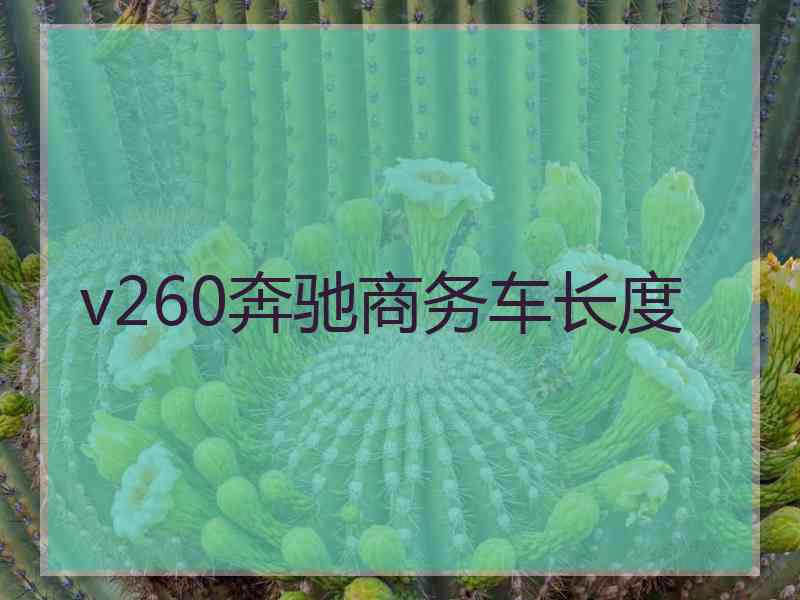 v260奔驰商务车长度