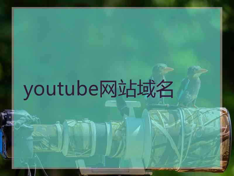 youtube网站域名