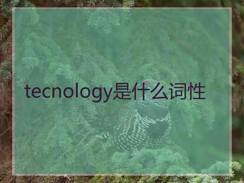 tecnology是什么词性