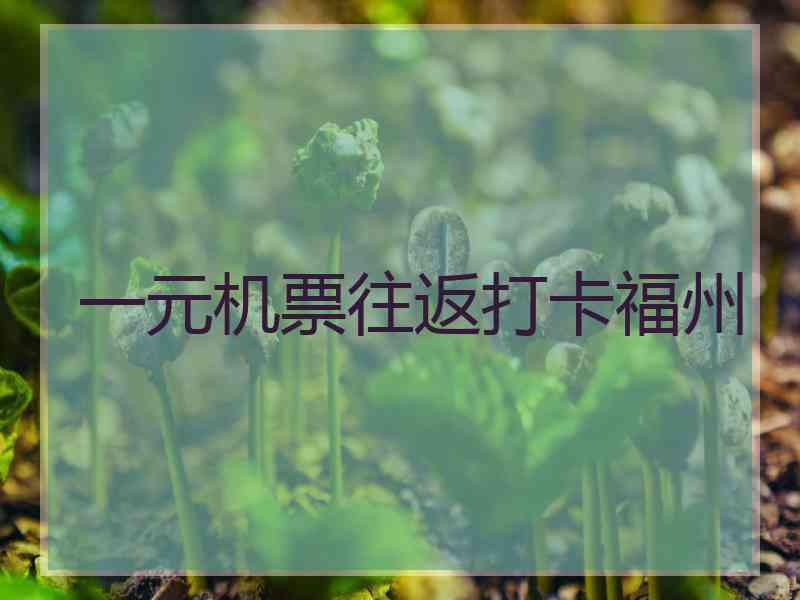 一元机票往返打卡福州