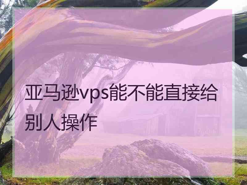 亚马逊vps能不能直接给别人操作