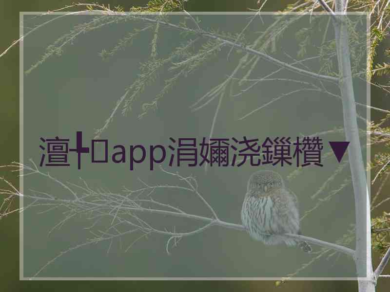 澶╄app涓嬭浇鏁欑▼