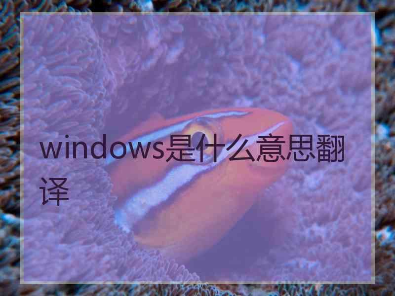 windows是什么意思翻译