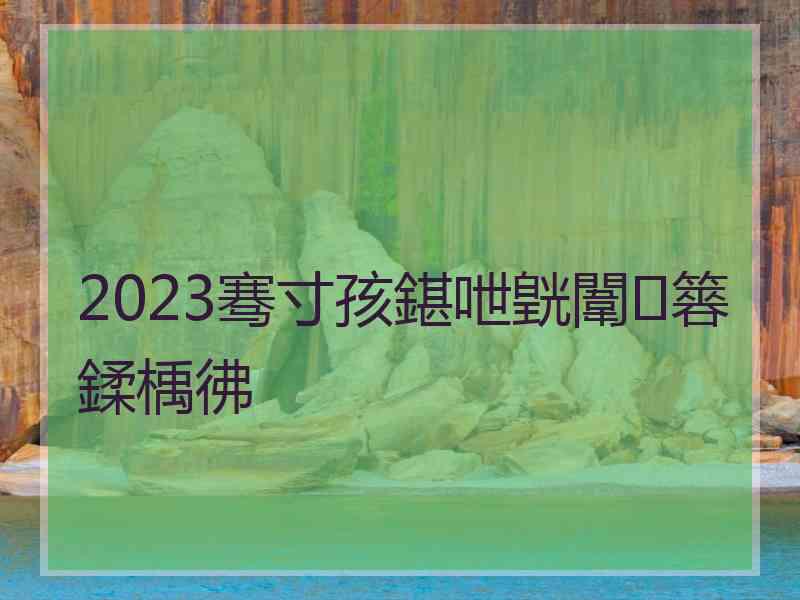 2023骞寸孩鍖呭皝闈㈠簭鍒楀彿