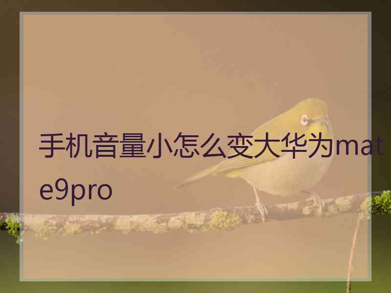 手机音量小怎么变大华为mate9pro