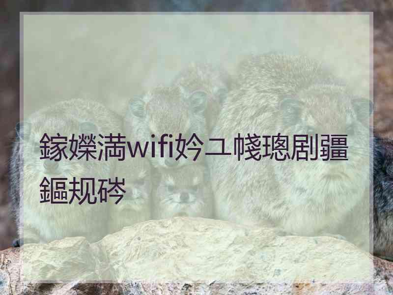 鎵嬫満wifi妗ユ帴璁剧疆鏂规硶