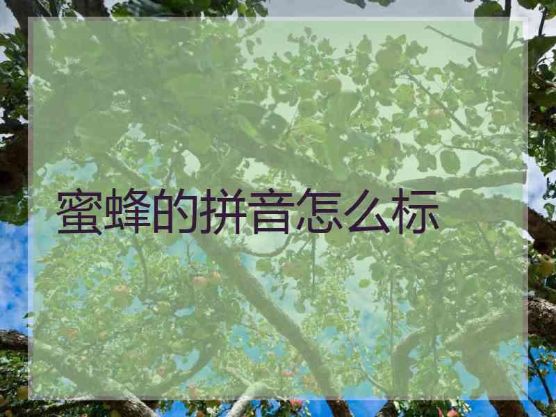 蜜蜂的拼音怎么标