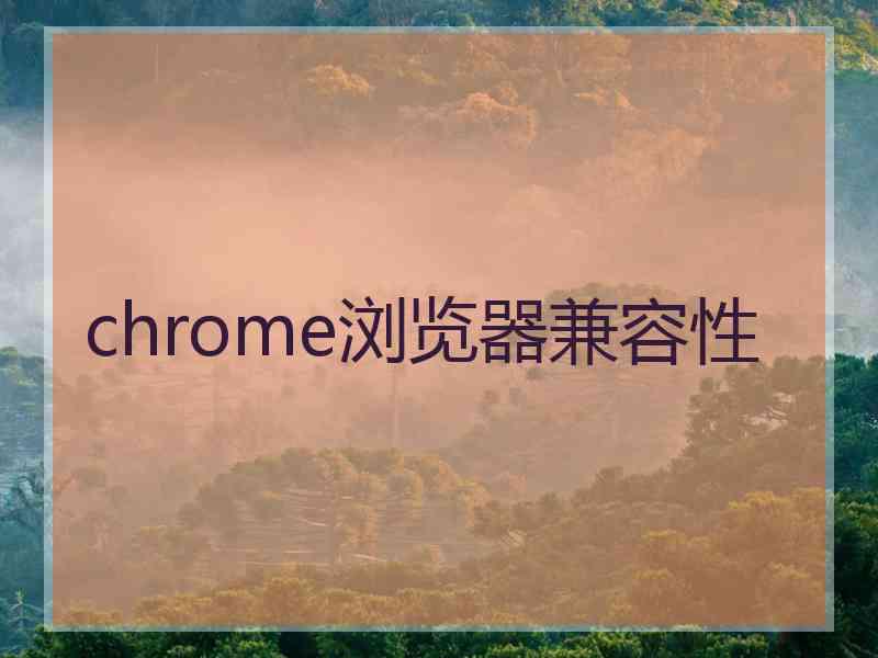 chrome浏览器兼容性