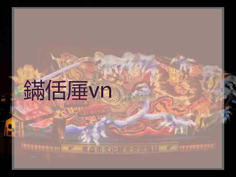 鏋佸厜vn