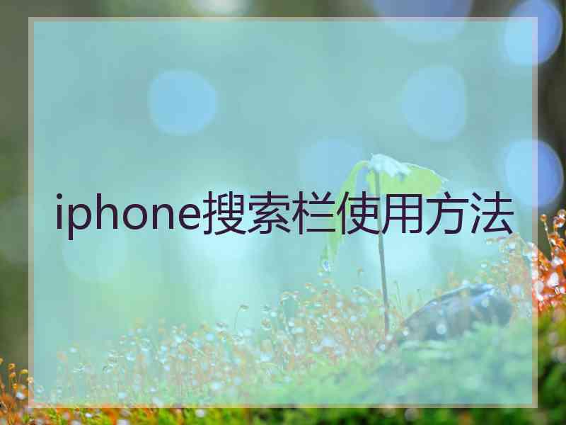 iphone搜索栏使用方法