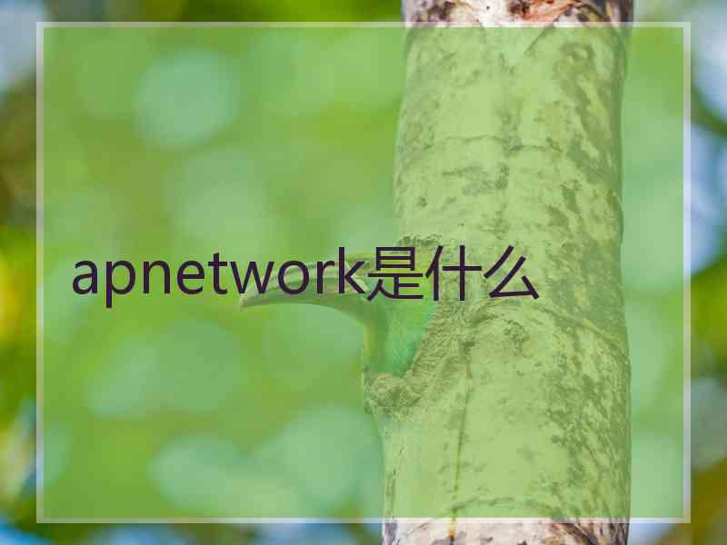 apnetwork是什么