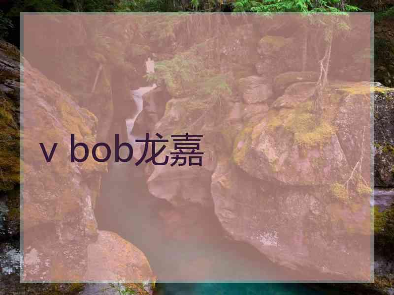 v bob龙嘉