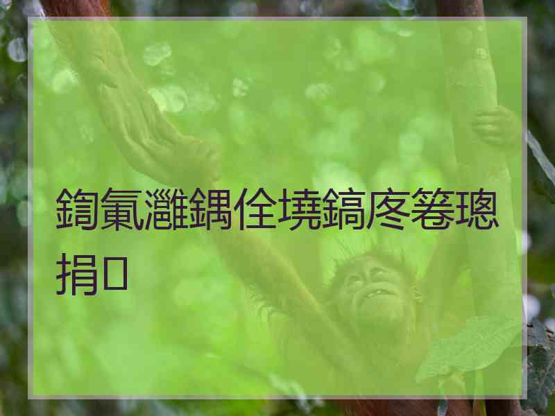 鍧氭灉鍝佺墝鎬庝箞璁捐