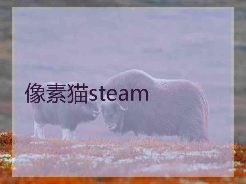 像素猫steam