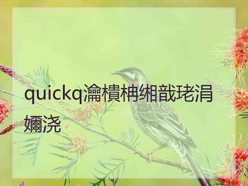 quickq瀹樻柟缃戠珯涓嬭浇