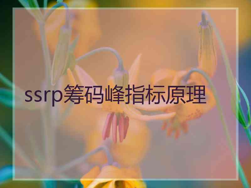 ssrp筹码峰指标原理