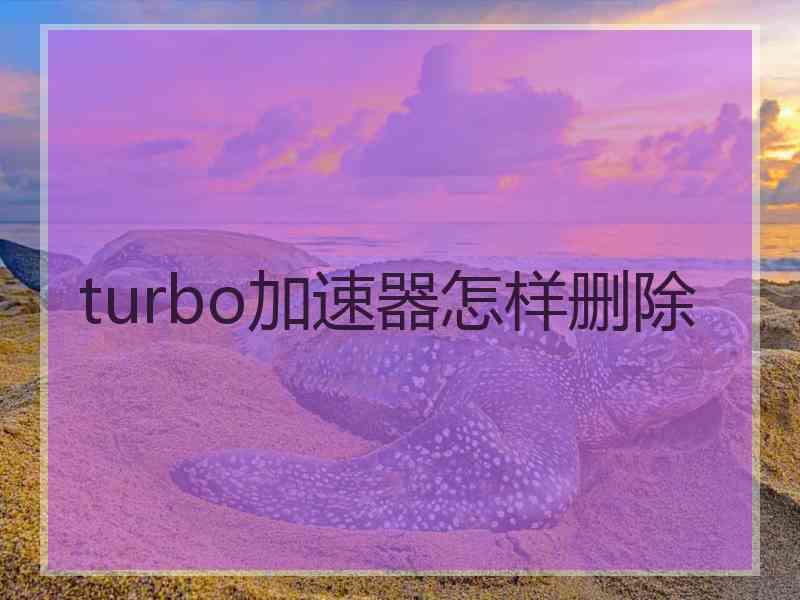 turbo加速器怎样删除