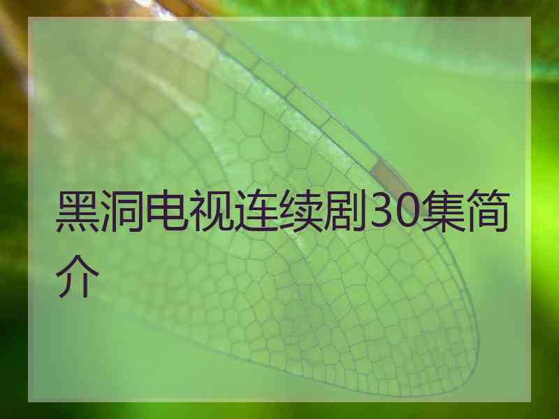 黑洞电视连续剧30集简介