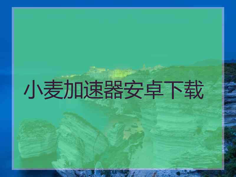 小麦加速器安卓下载