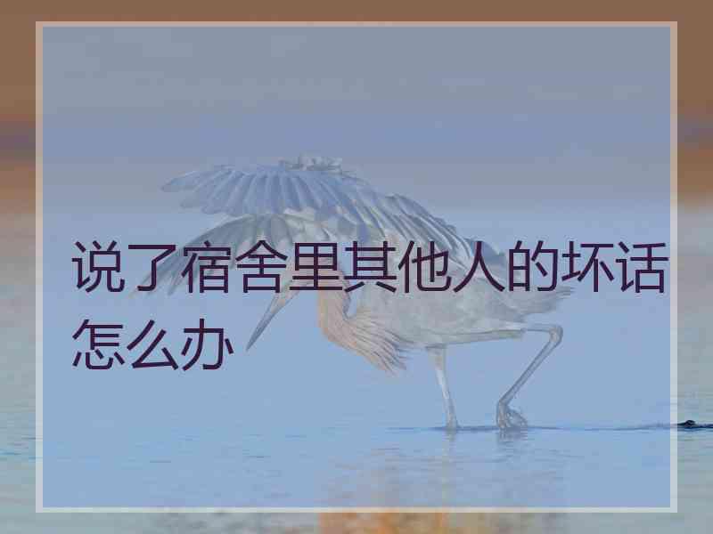 说了宿舍里其他人的坏话怎么办