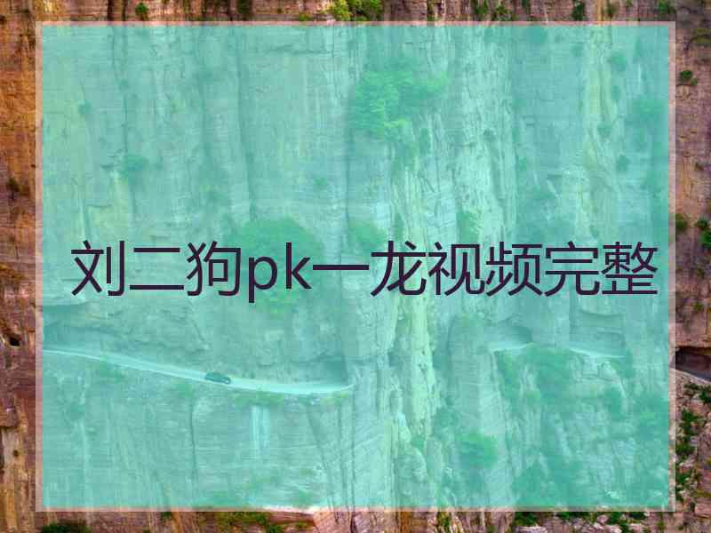 刘二狗pk一龙视频完整