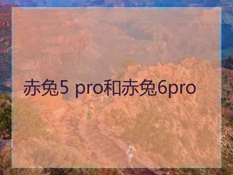 赤兔5 pro和赤兔6pro