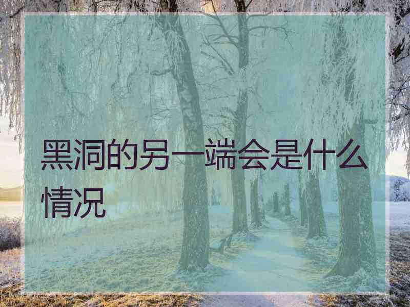 黑洞的另一端会是什么情况