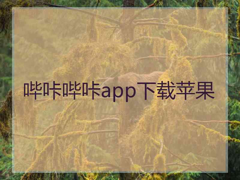 哔咔哔咔app下载苹果