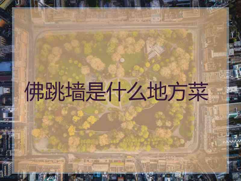 佛跳墙是什么地方菜