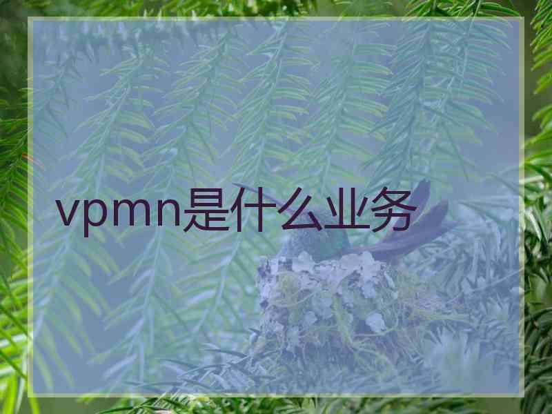 vpmn是什么业务