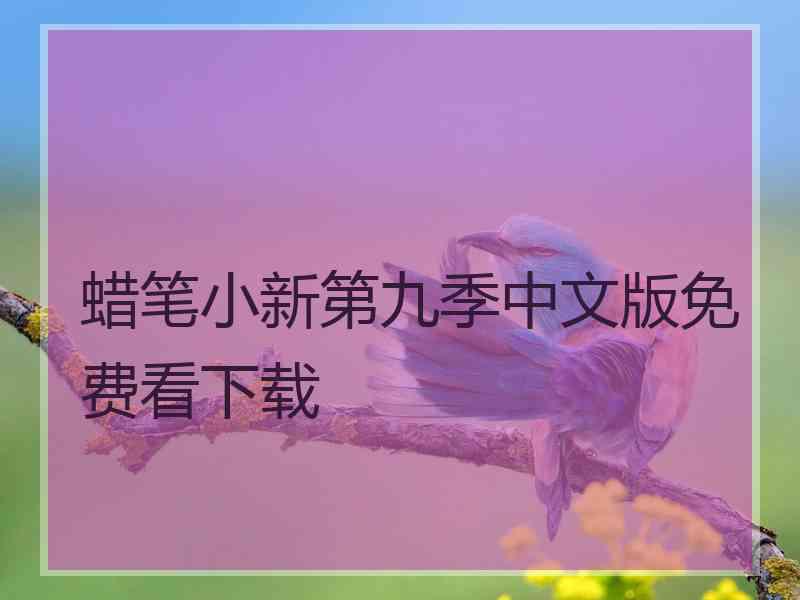 蜡笔小新第九季中文版免费看下载