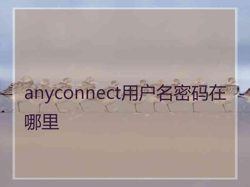 anyconnect用户名密码在哪里