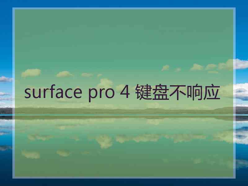 surface pro 4 键盘不响应