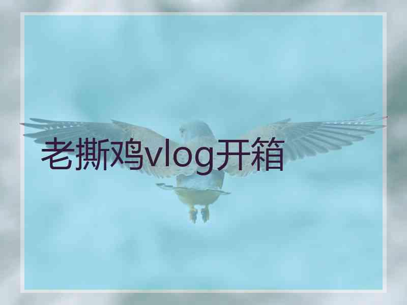 老撕鸡vlog开箱