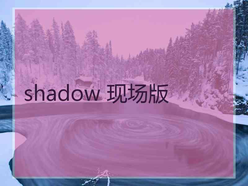 shadow 现场版