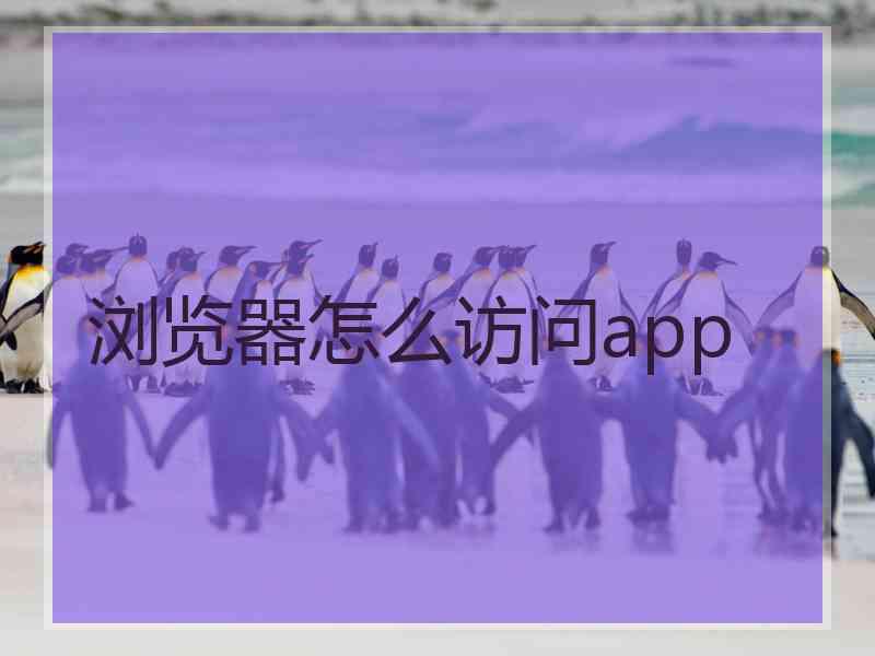 浏览器怎么访问app