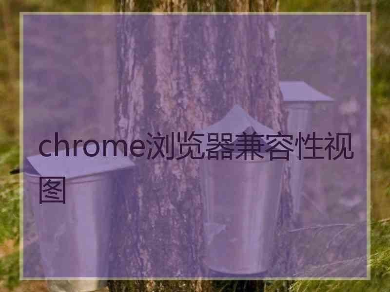 chrome浏览器兼容性视图