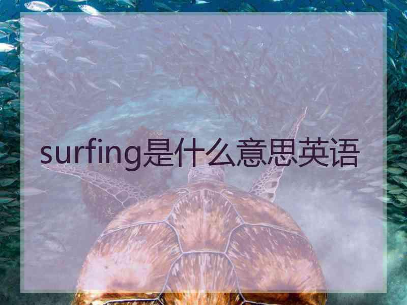 surfing是什么意思英语